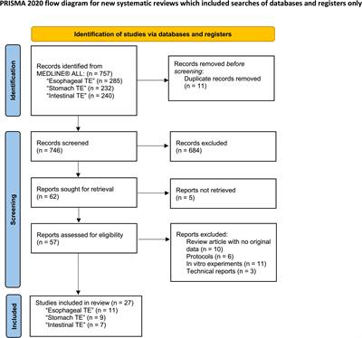 Current status and clinical applications of tissue engineering of the gastrointestinal tract: a systematized narrative review